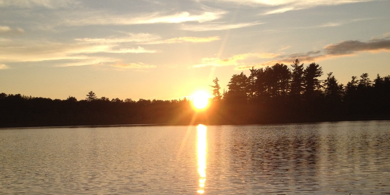 Deena_Goerke's profile banner image
