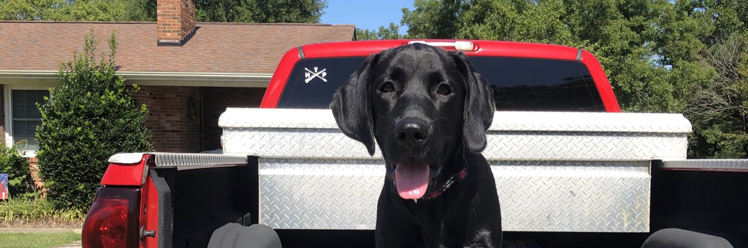Mackenzie_Coley's profile banner image