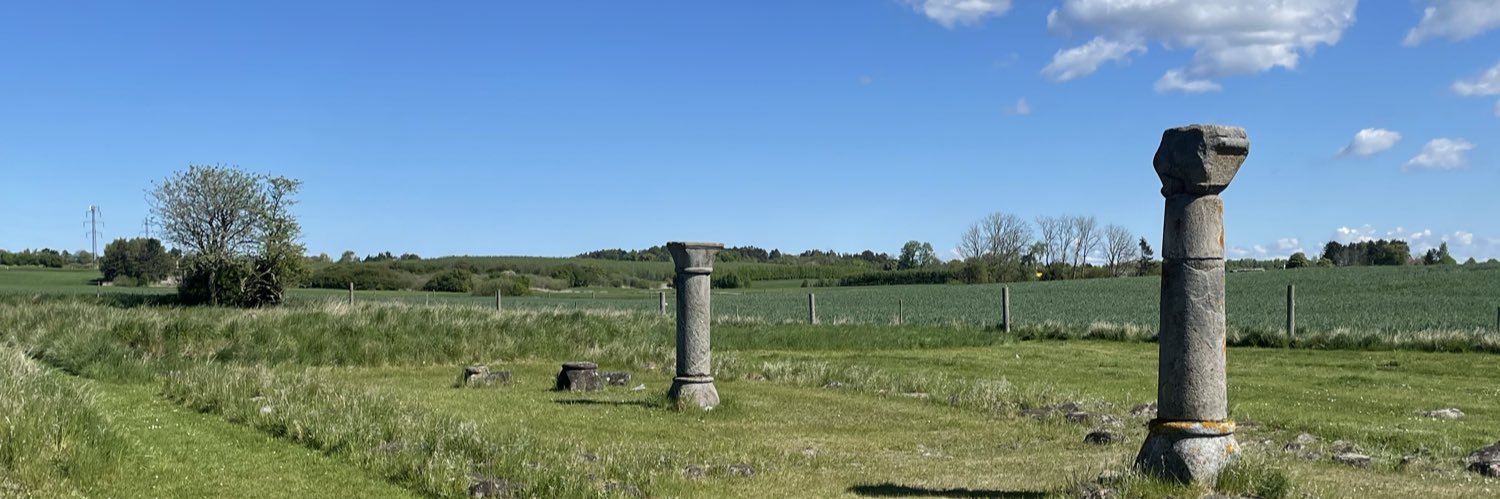 HanseLyngby's profile banner image
