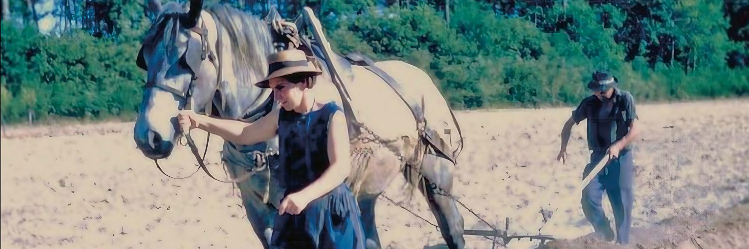 Histoire & Sociétés Rurales banner