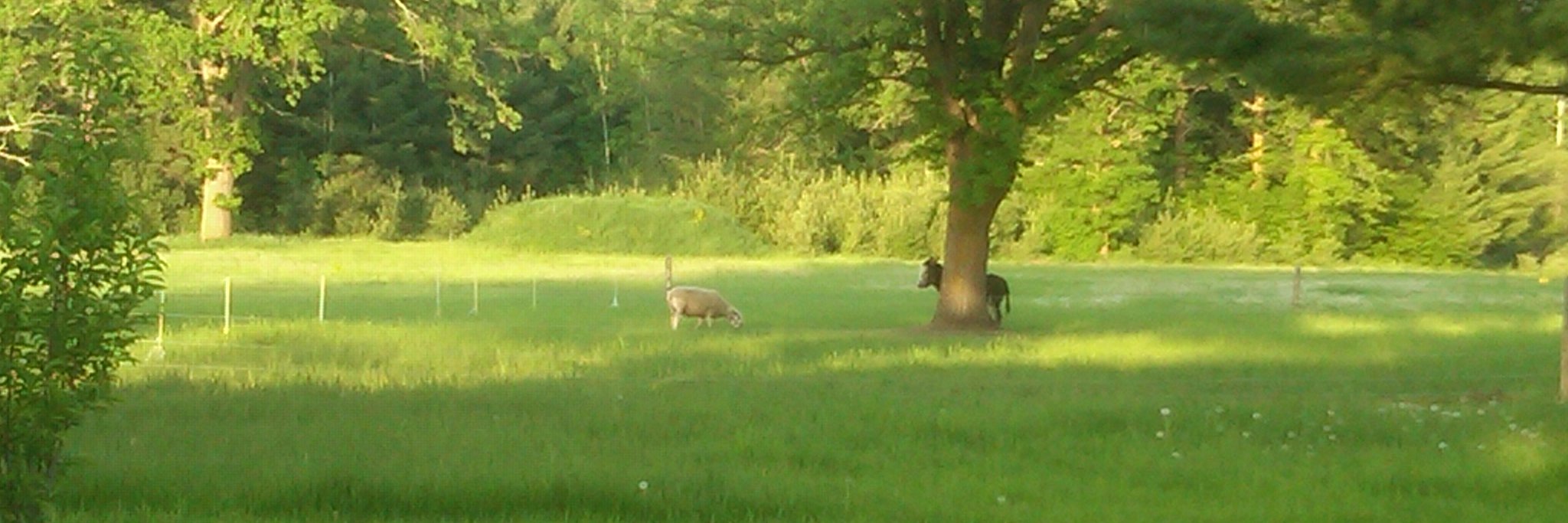 Chengwatana Farm banner