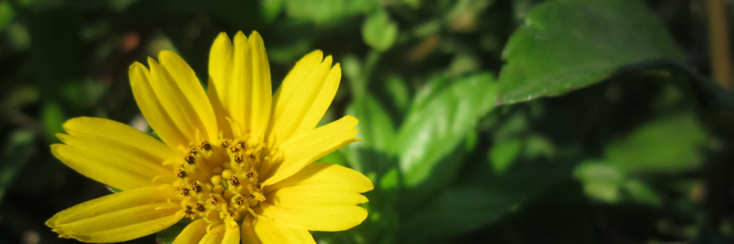 hingrunani's profile banner image