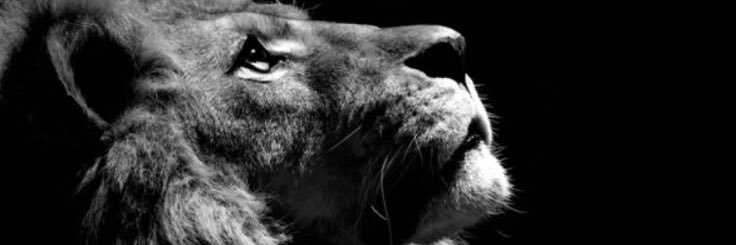 ZachRParker's profile banner image