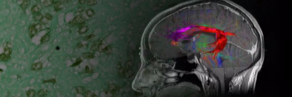 NSTumorSection Profile Banner