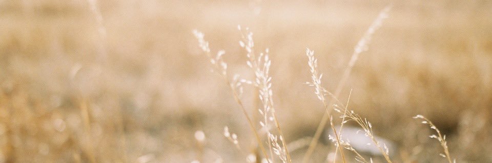 emma banner