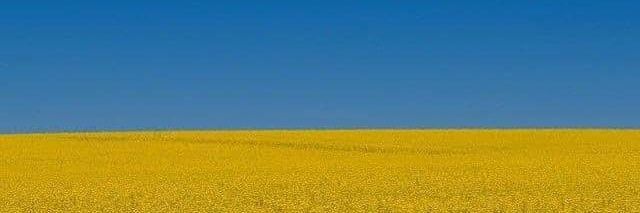 Sarter Stephan banner