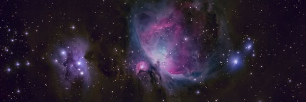 JayLNewstead Profile Banner