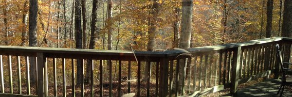 lessandsee Profile Banner