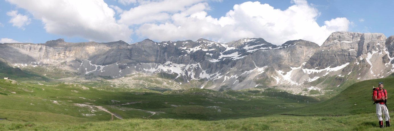 AndrewPatrick banner