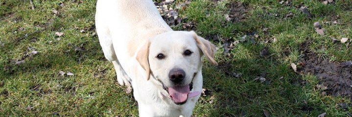 Jen Stanley (Fecitt) banner