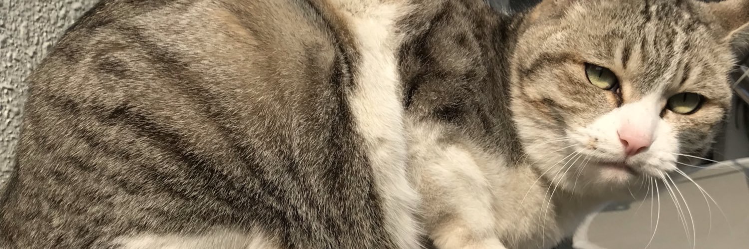 tran0707's profile banner image