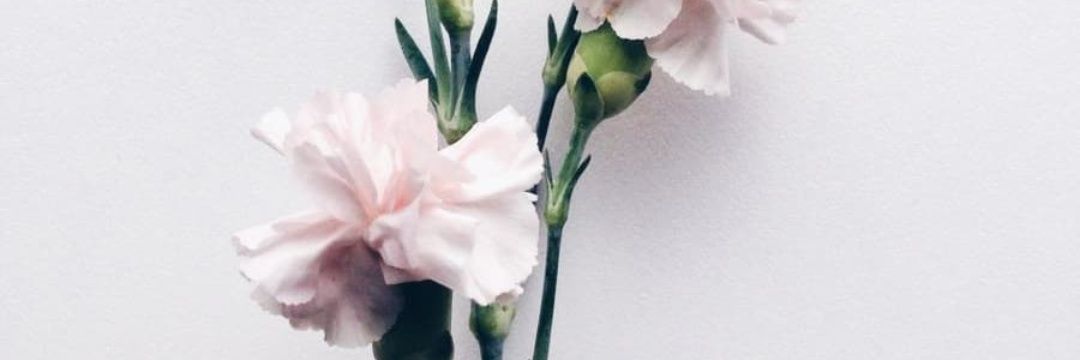 mpessssss's profile banner image