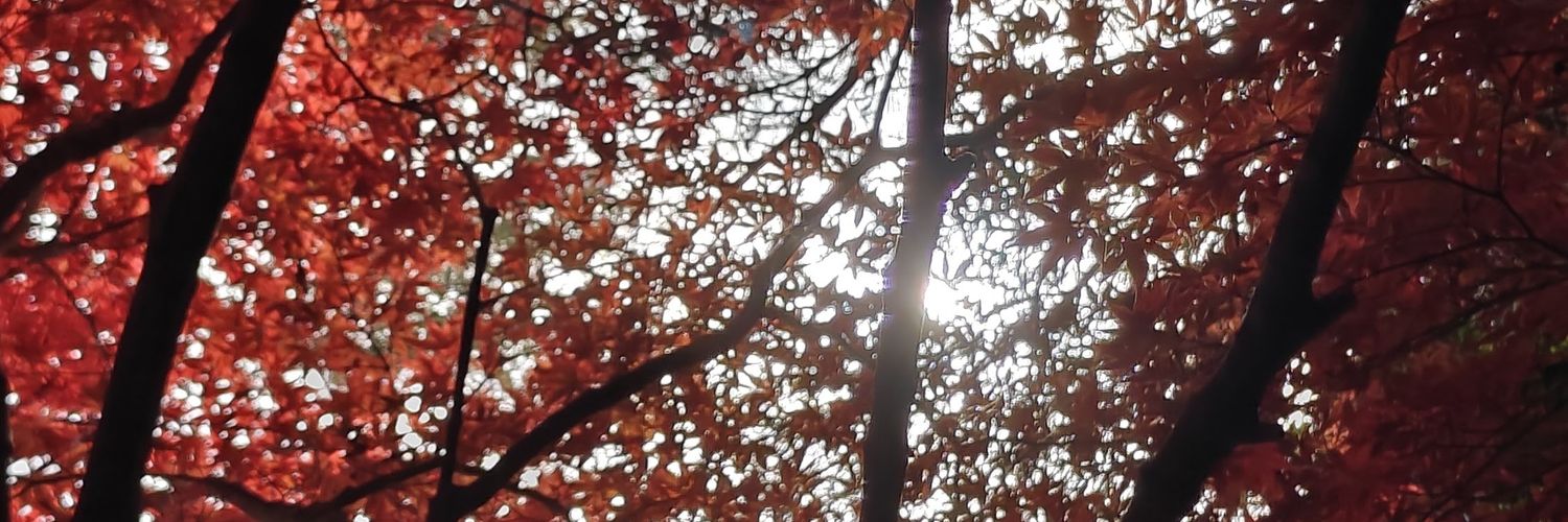 ddavidshi's profile banner image