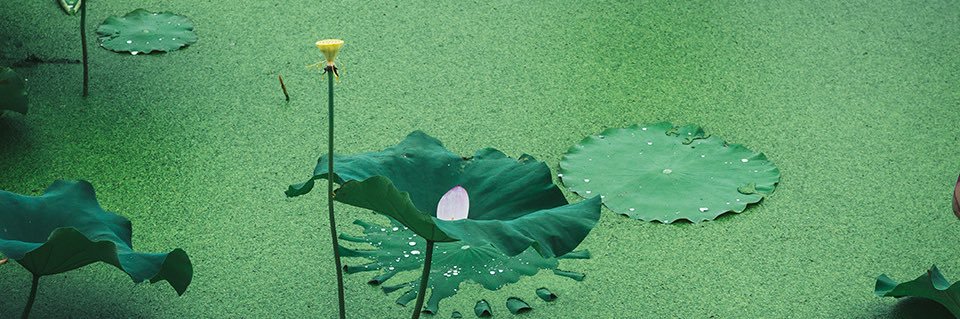 sIowdive's profile banner image