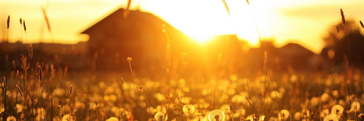 ashiskumar123's profile banner image