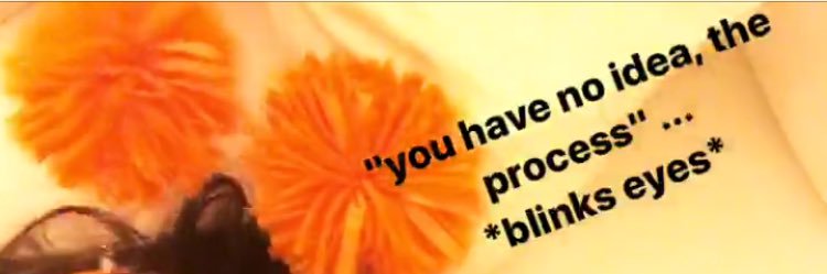 Emily Cavalier banner