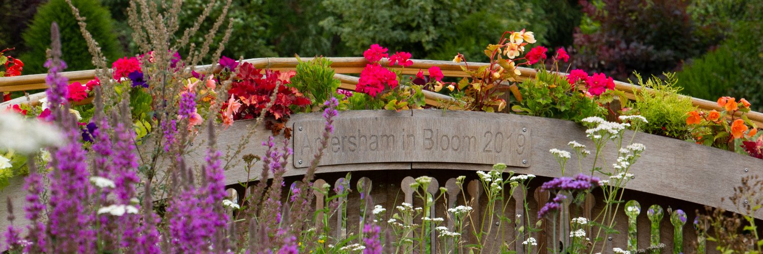 MarkSpeaking 🔶#LibDem #CheshamAndAmersham banner