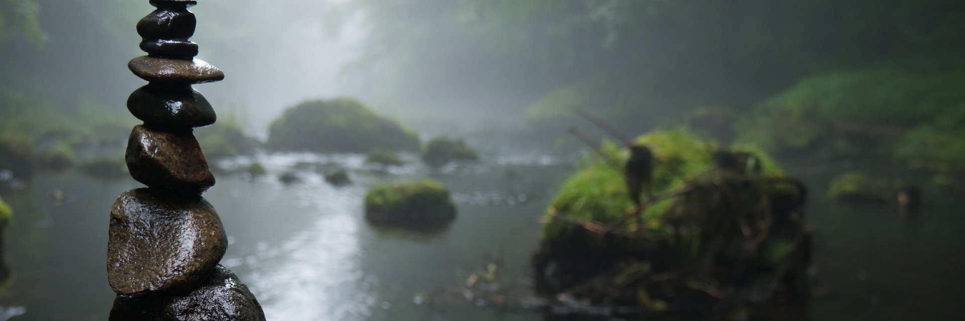 SW Mindful banner