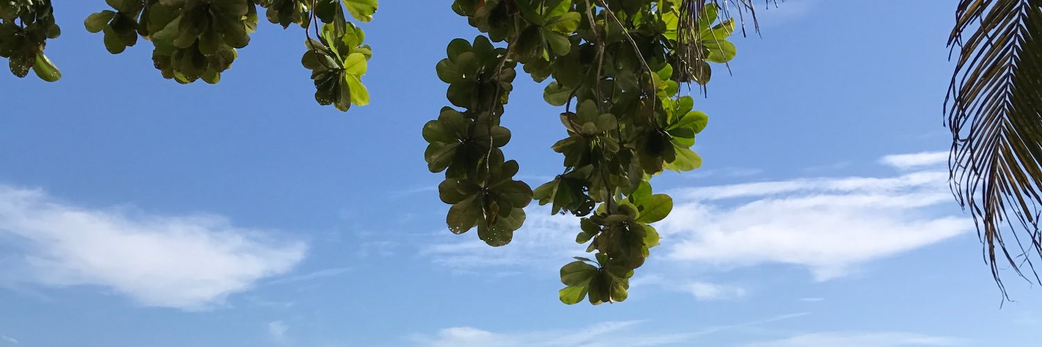 C77K7's profile banner image