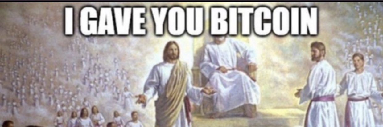 basedbitcoiner's profile banner image