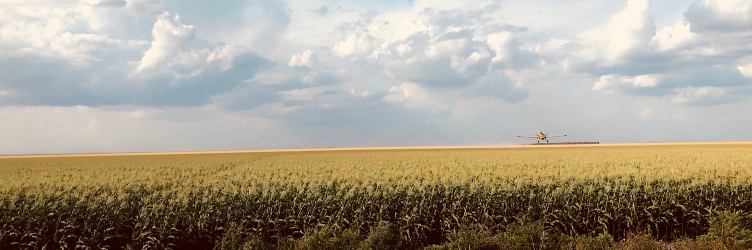 RachelRuizz's profile banner image