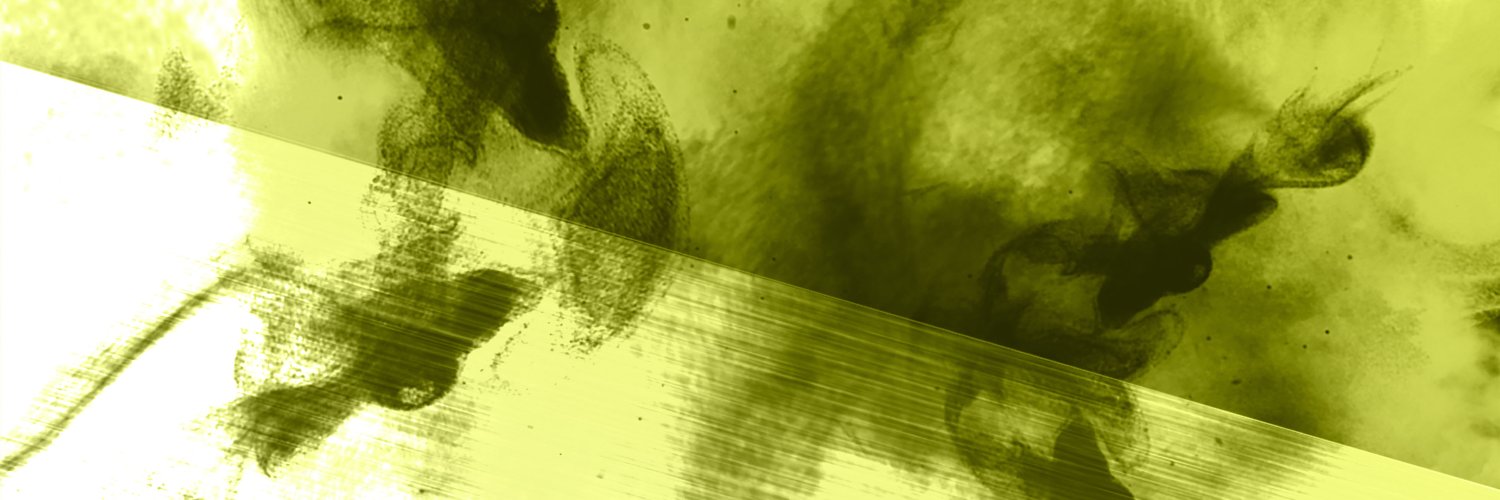 JCforJulienC's profile banner image