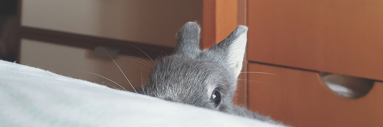 denisejlee's profile banner image
