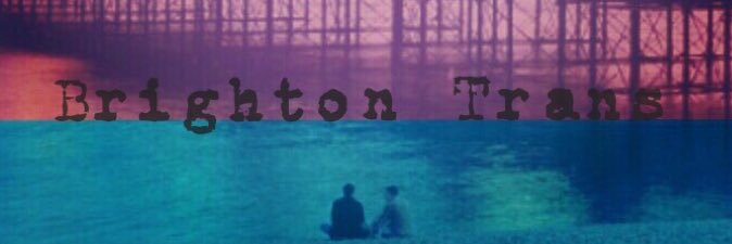 BrightonTrans banner