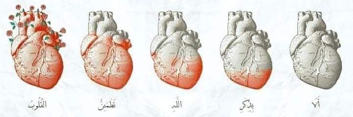 MuhammadMarwad's profile banner image