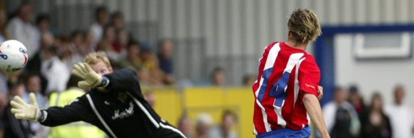 PEToms Profile Banner