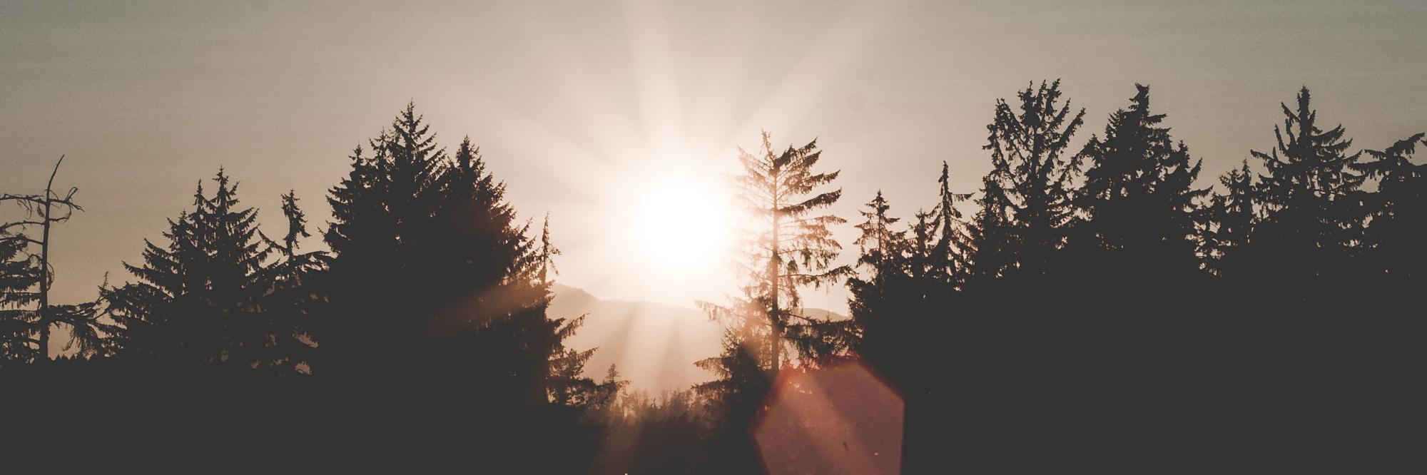 petervarga's profile banner image