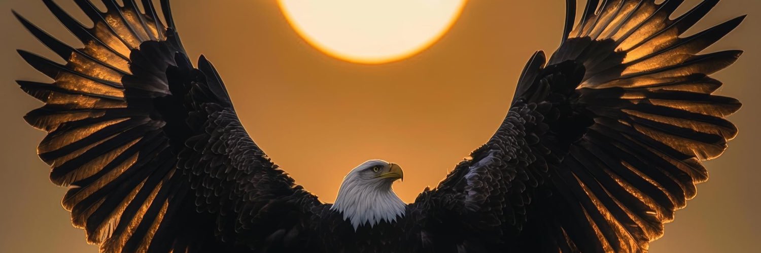 mgrmido's profile banner image