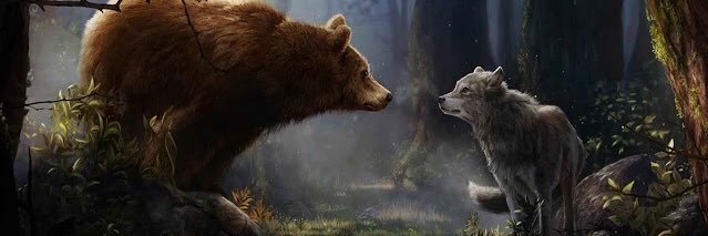 alexander orthey banner