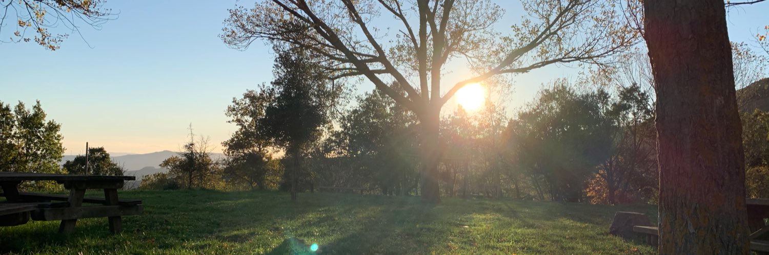 Giandomenico M. banner