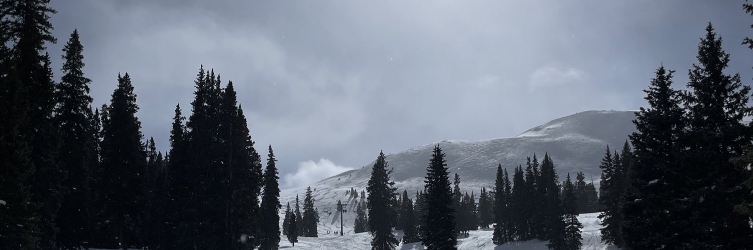 picachee's profile banner image