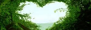 lovezone_'s profile banner image