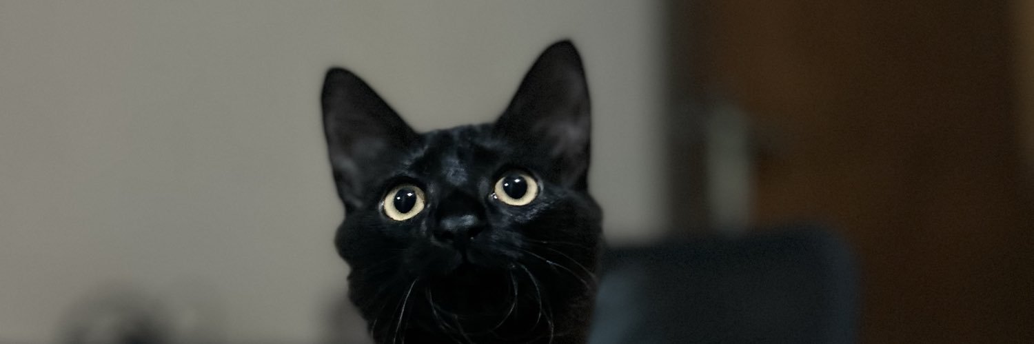 piotton's profile banner image