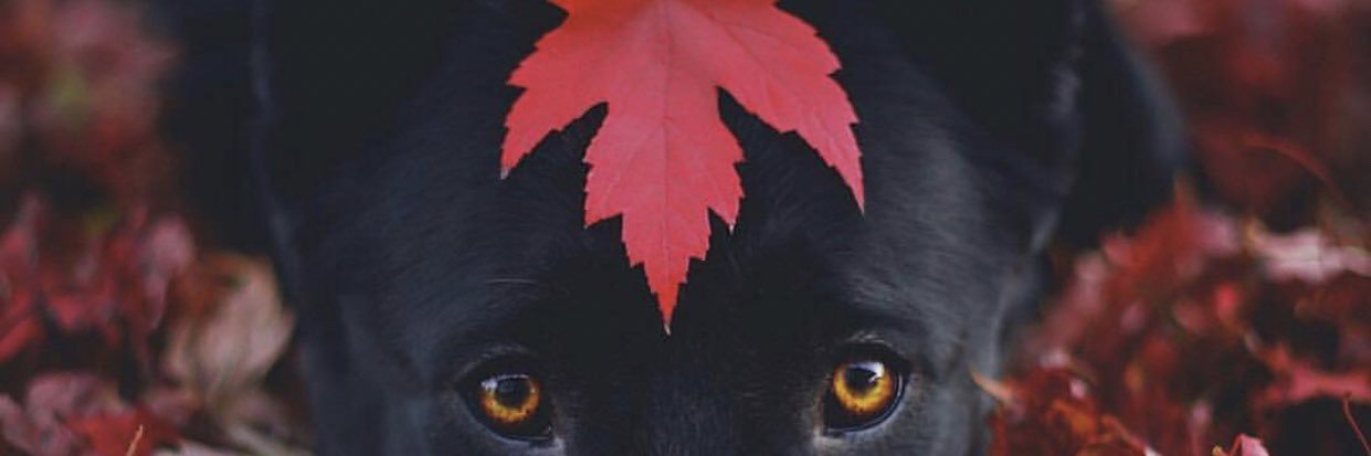 real_moud's profile banner image