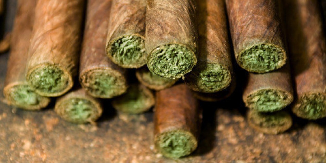 TweetThatBlunt's profile banner image