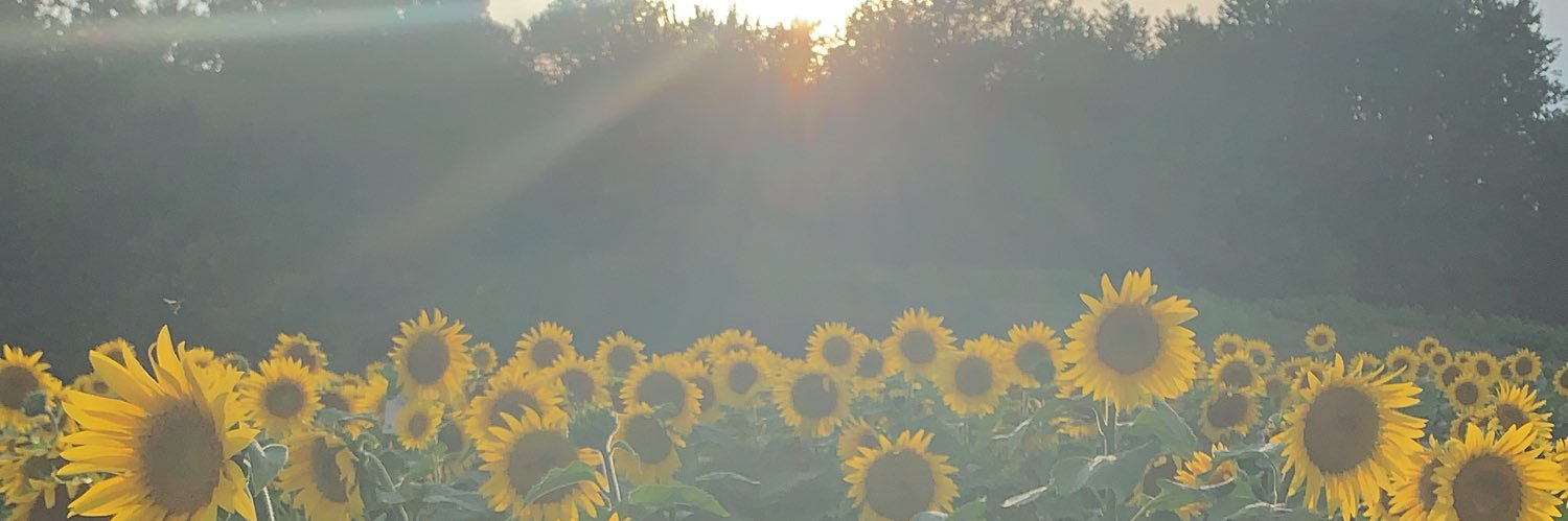 HalleB11's profile banner image