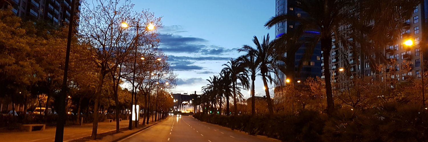 fernandoponti's profile banner image