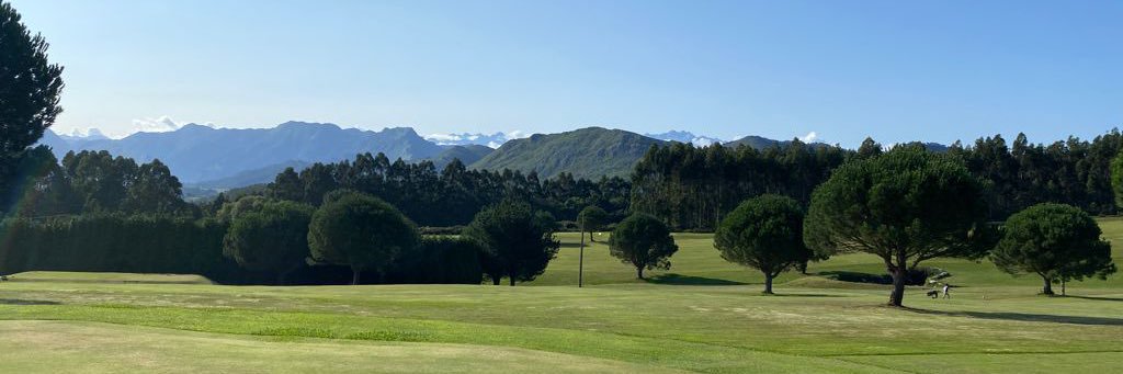 TheAdventMickey banner