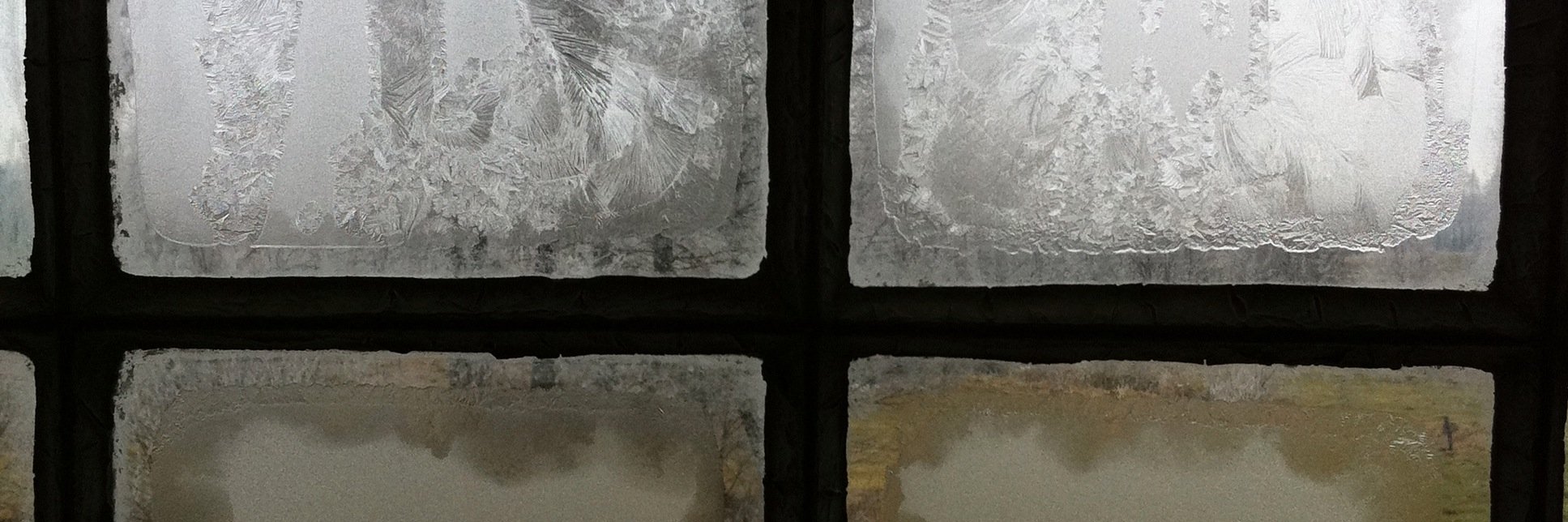 Lenka W. Cisarova banner