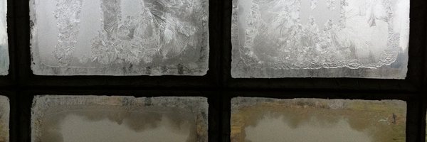 LenkaWC Profile Banner