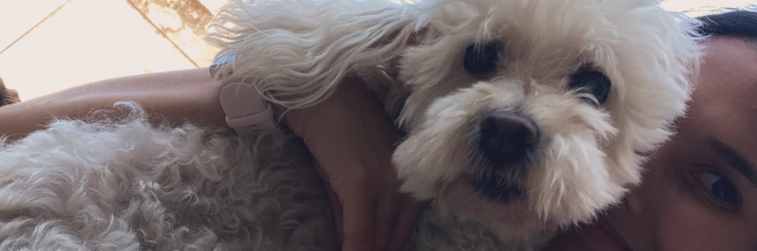 FlorDelFabro's profile banner image
