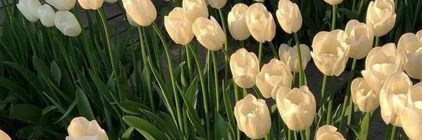 cmnesia Profile Banner