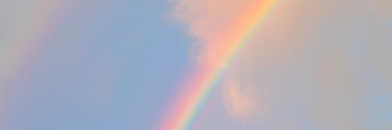 kels_bird_'s profile banner image
