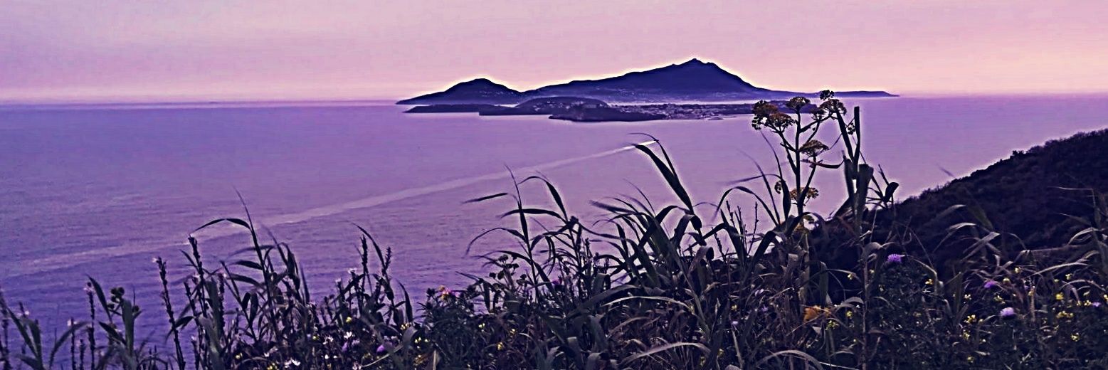 Agostino De Marco banner