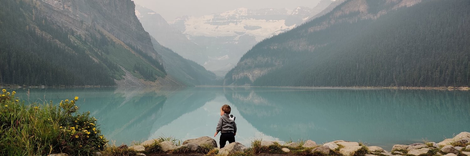 Dave Jeffries 🦞💉💉💉 banner