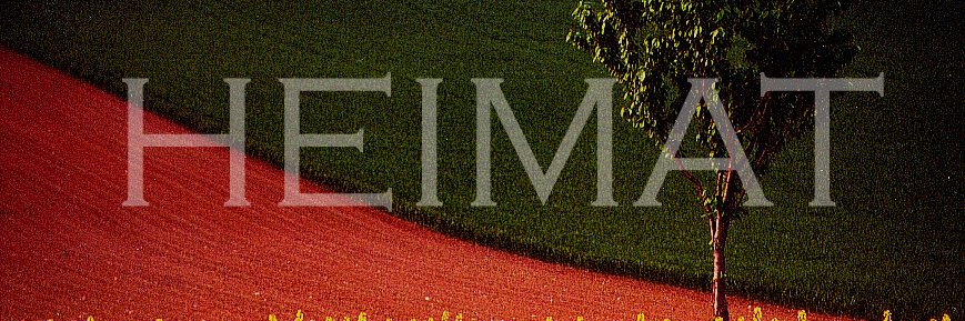 Consul Eichwald banner